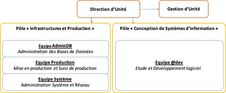 Organigramme des équipes du CTIG